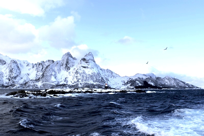 The Big Skrei Adventure Lofoten Landscape Norway