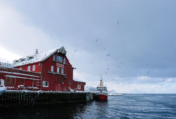 The Big Skrei Adventure House Norway