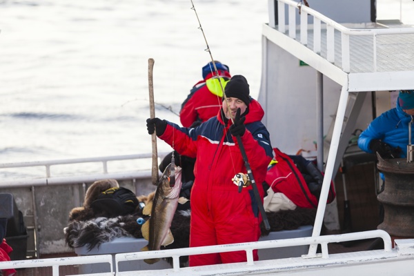 The Big Skrei Adventure 2014 - by fishermen in Lofoten, star chefs and cod